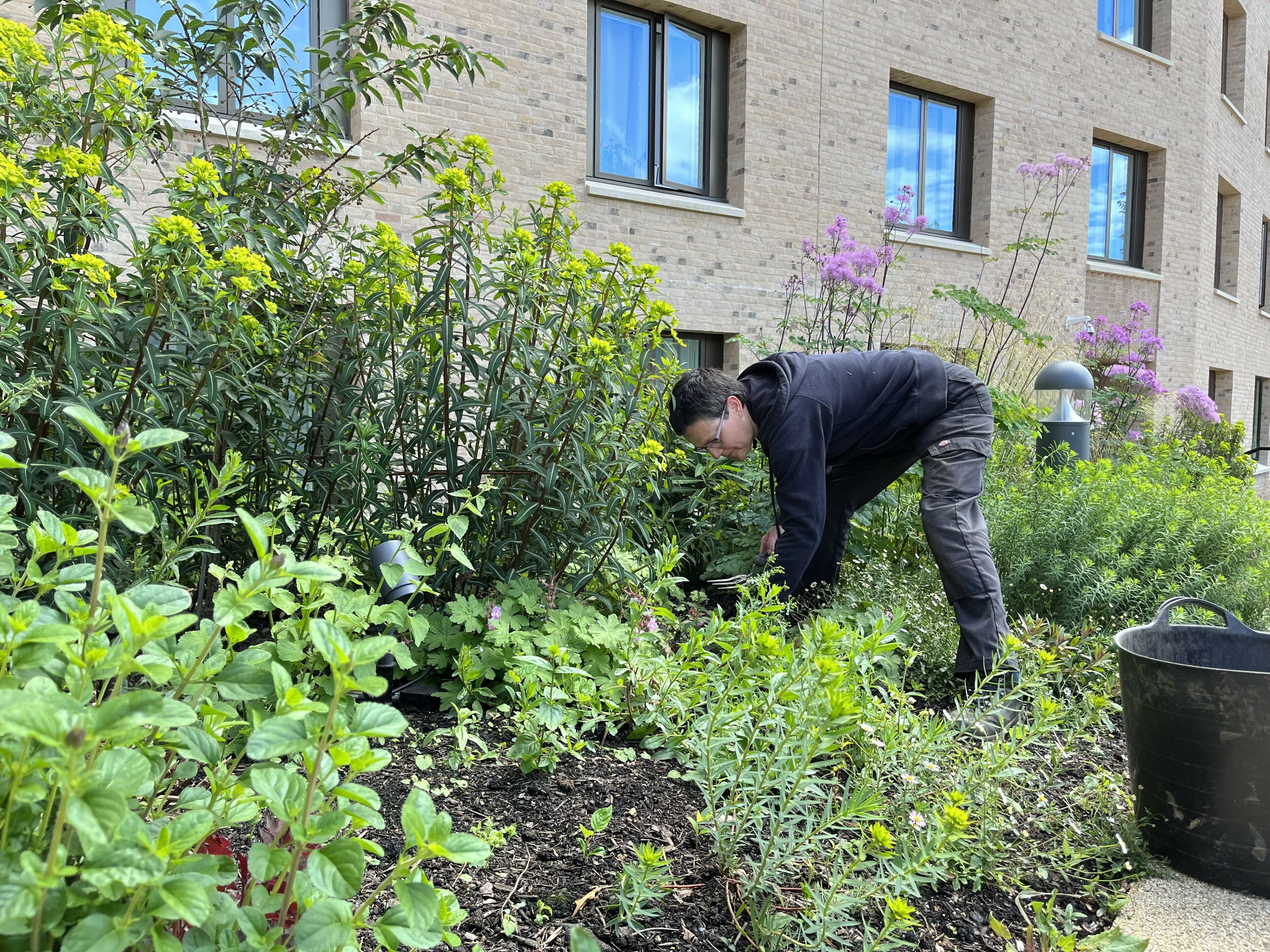 Developing Gardens