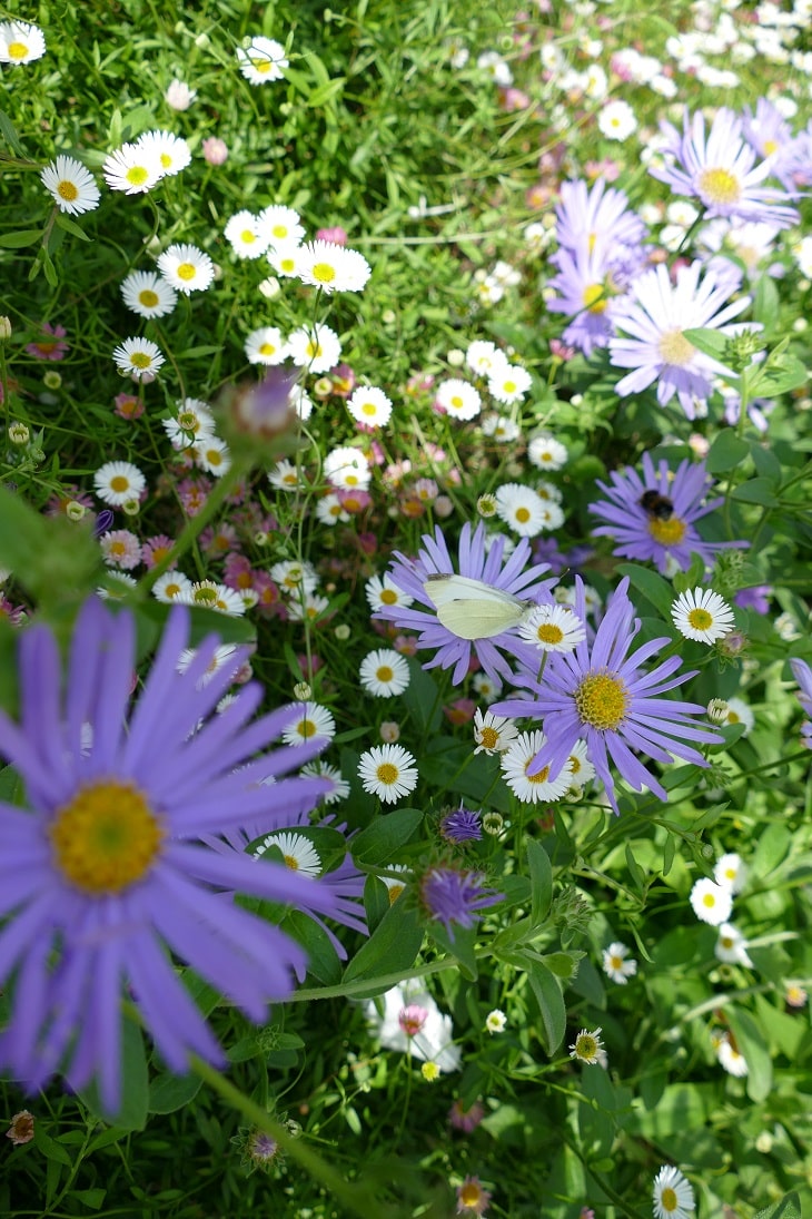 Wall flower bed