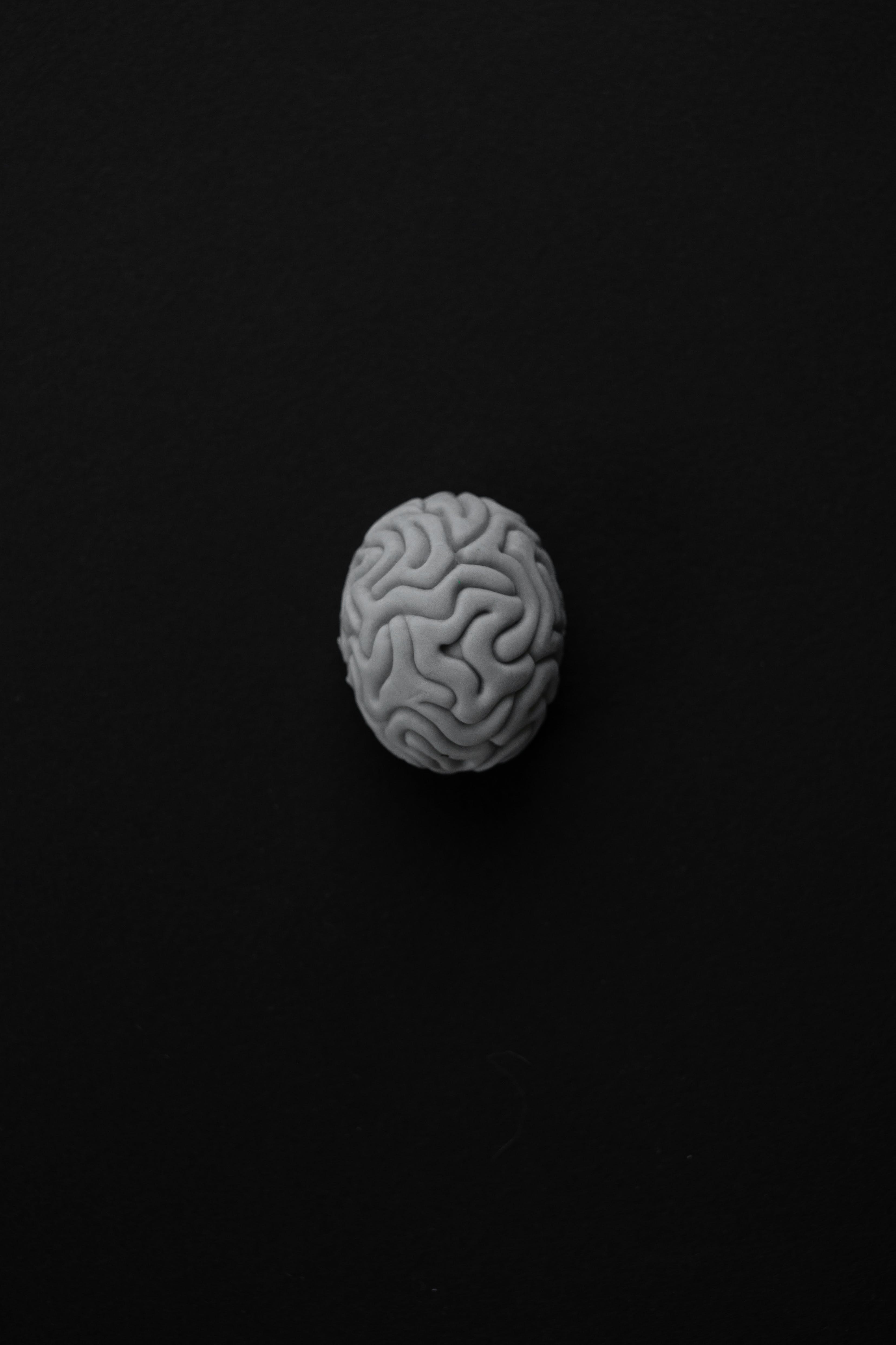 Brain and Mind